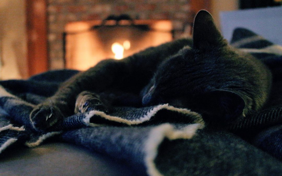 Black cat sleeping next to a fireplace